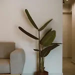 Apartment Galadriel